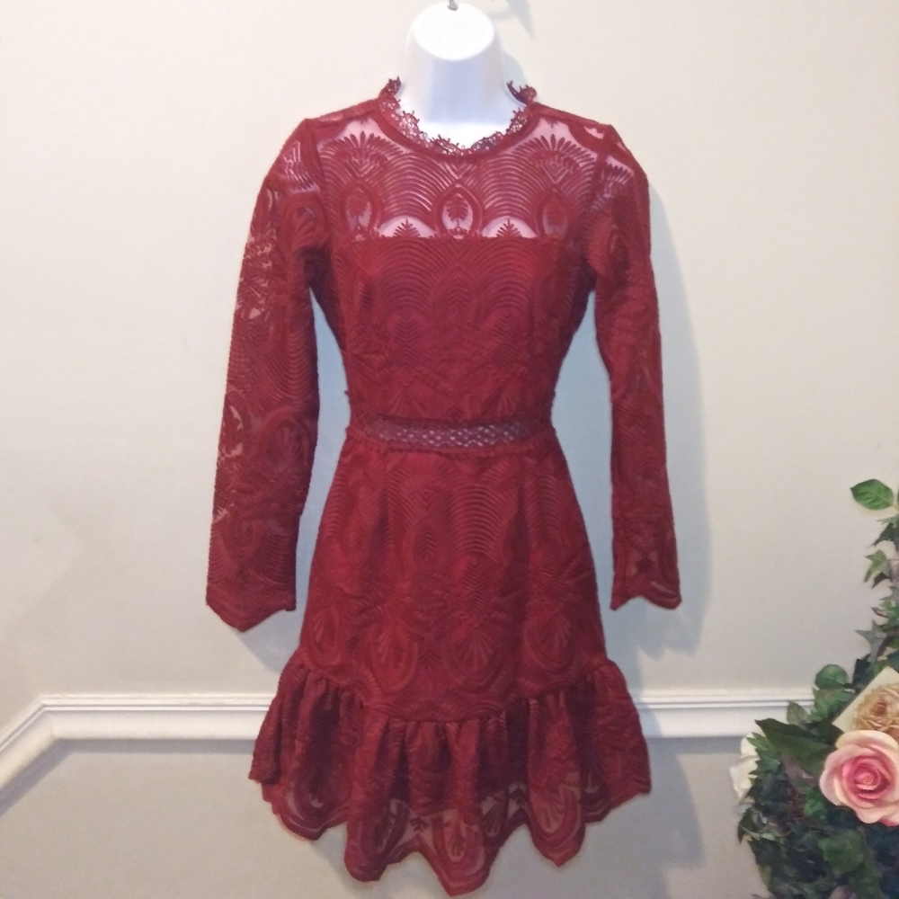 Xenia Boutique Sexy Burgundy Embroidered Net Ruffled Hem Mini Dress - Picture 2 of 16